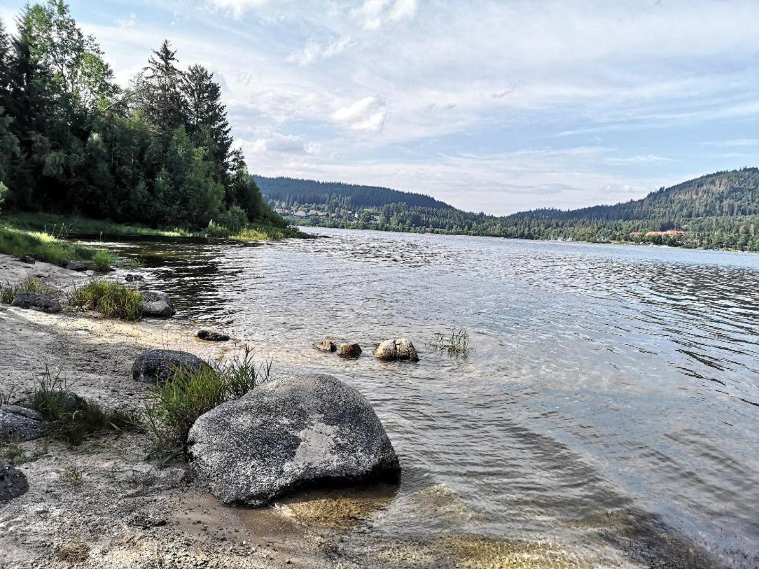C1 Albmatte-Fewo Sauna, Hallenbad Aussenbecken Massagen Nebenan Menzenschwand-Hinterdorf エクステリア 写真