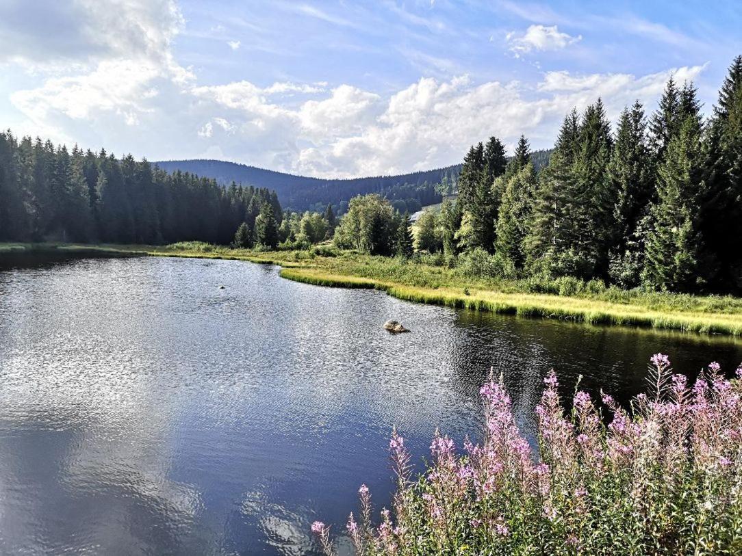 C1 Albmatte-Fewo Sauna, Hallenbad Aussenbecken Massagen Nebenan Menzenschwand-Hinterdorf エクステリア 写真