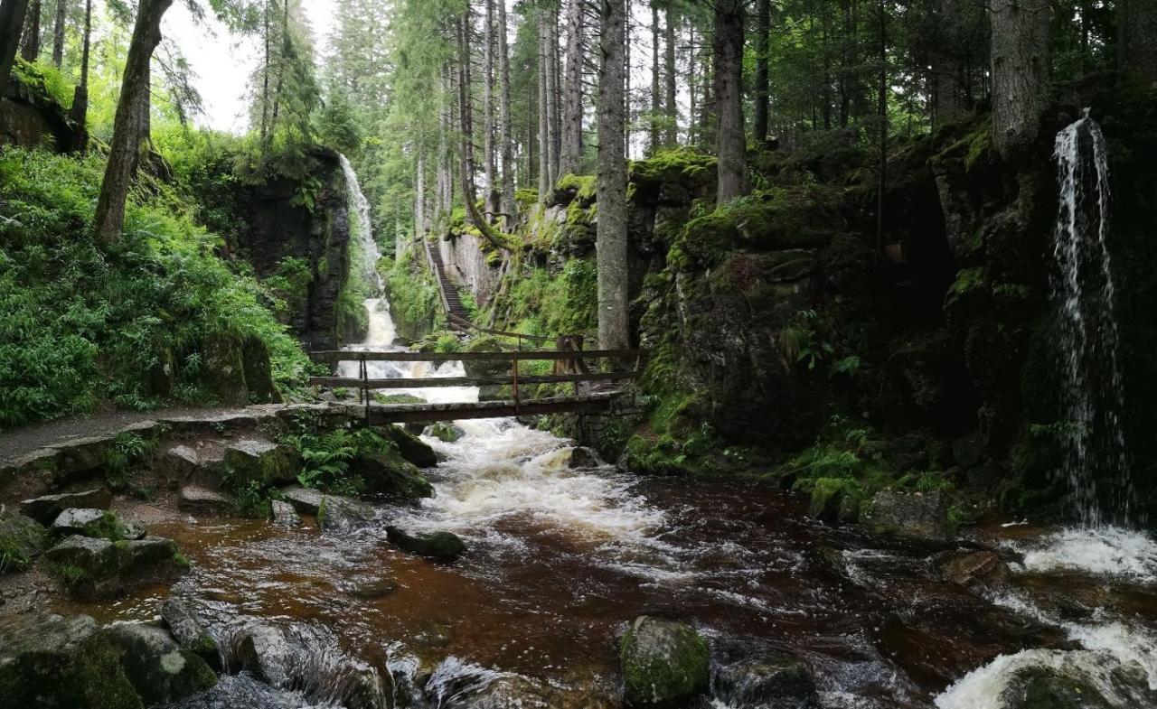 C1 Albmatte-Fewo Sauna, Hallenbad Aussenbecken Massagen Nebenan Menzenschwand-Hinterdorf エクステリア 写真