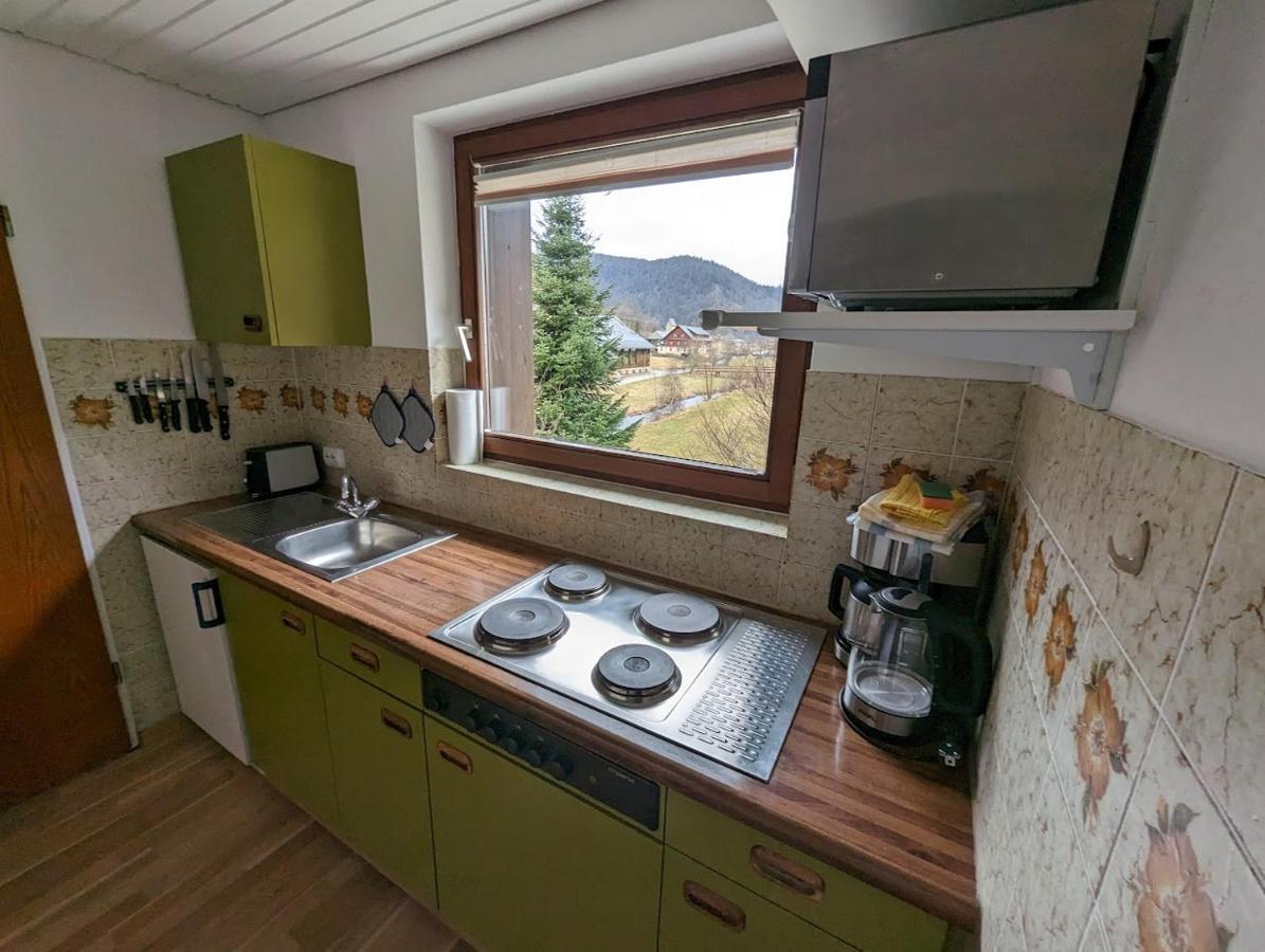 C1 Albmatte-Fewo Sauna, Hallenbad Aussenbecken Massagen Nebenan Menzenschwand-Hinterdorf エクステリア 写真