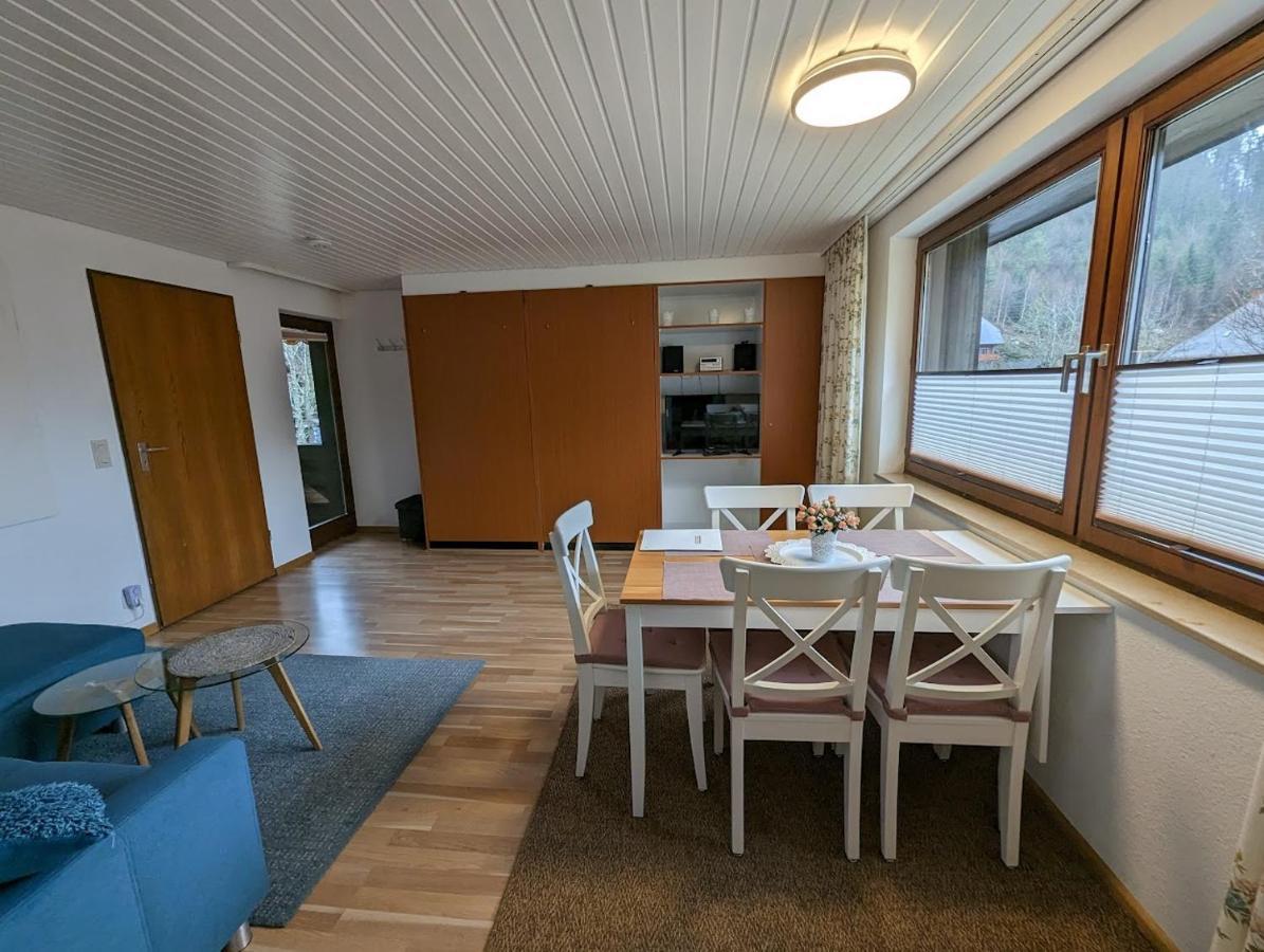 C1 Albmatte-Fewo Sauna, Hallenbad Aussenbecken Massagen Nebenan Menzenschwand-Hinterdorf エクステリア 写真