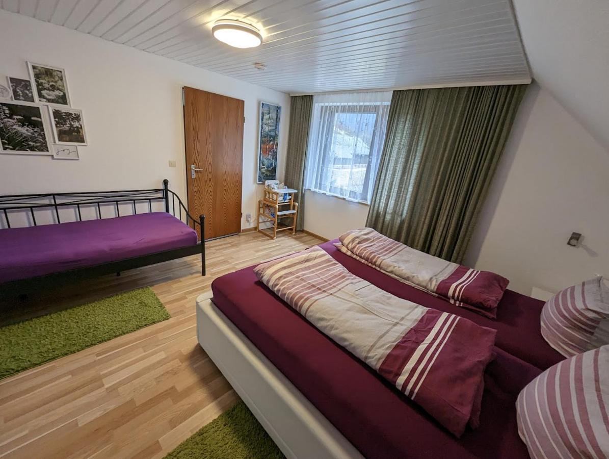 C1 Albmatte-Fewo Sauna, Hallenbad Aussenbecken Massagen Nebenan Menzenschwand-Hinterdorf エクステリア 写真