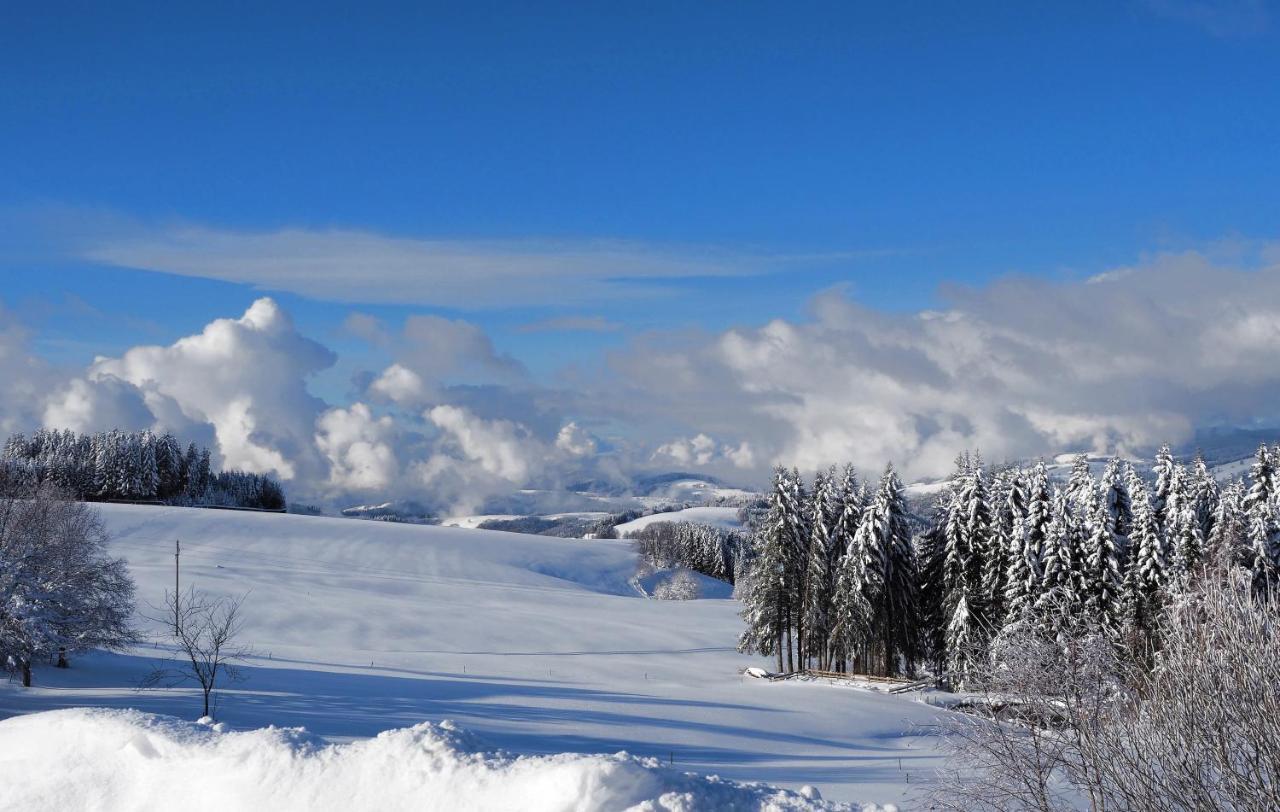 C1 Albmatte-Fewo Sauna, Hallenbad Aussenbecken Massagen Nebenan Menzenschwand-Hinterdorf エクステリア 写真