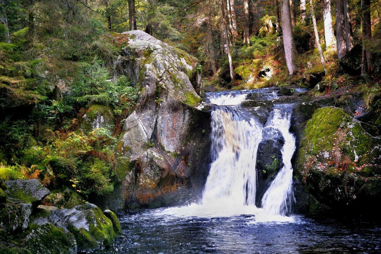 C1 Albmatte-Fewo Sauna, Hallenbad Aussenbecken Massagen Nebenan Menzenschwand-Hinterdorf エクステリア 写真