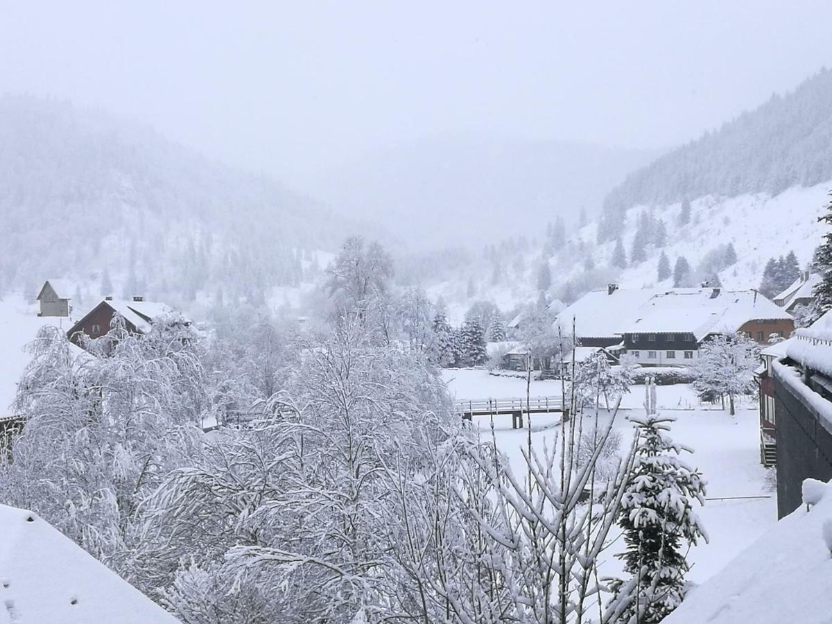 C1 Albmatte-Fewo Sauna, Hallenbad Aussenbecken Massagen Nebenan Menzenschwand-Hinterdorf エクステリア 写真