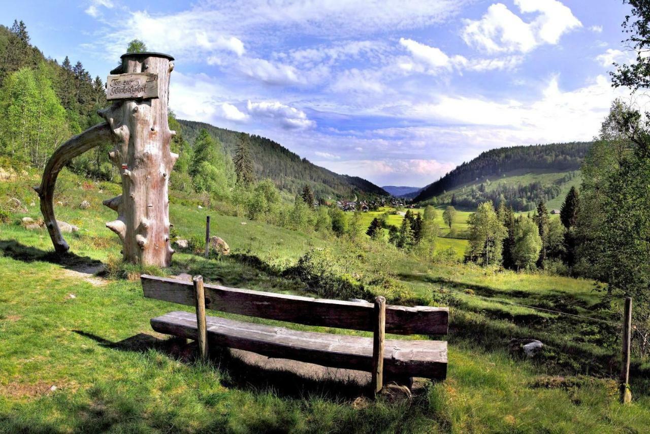 C1 Albmatte-Fewo Sauna, Hallenbad Aussenbecken Massagen Nebenan Menzenschwand-Hinterdorf エクステリア 写真