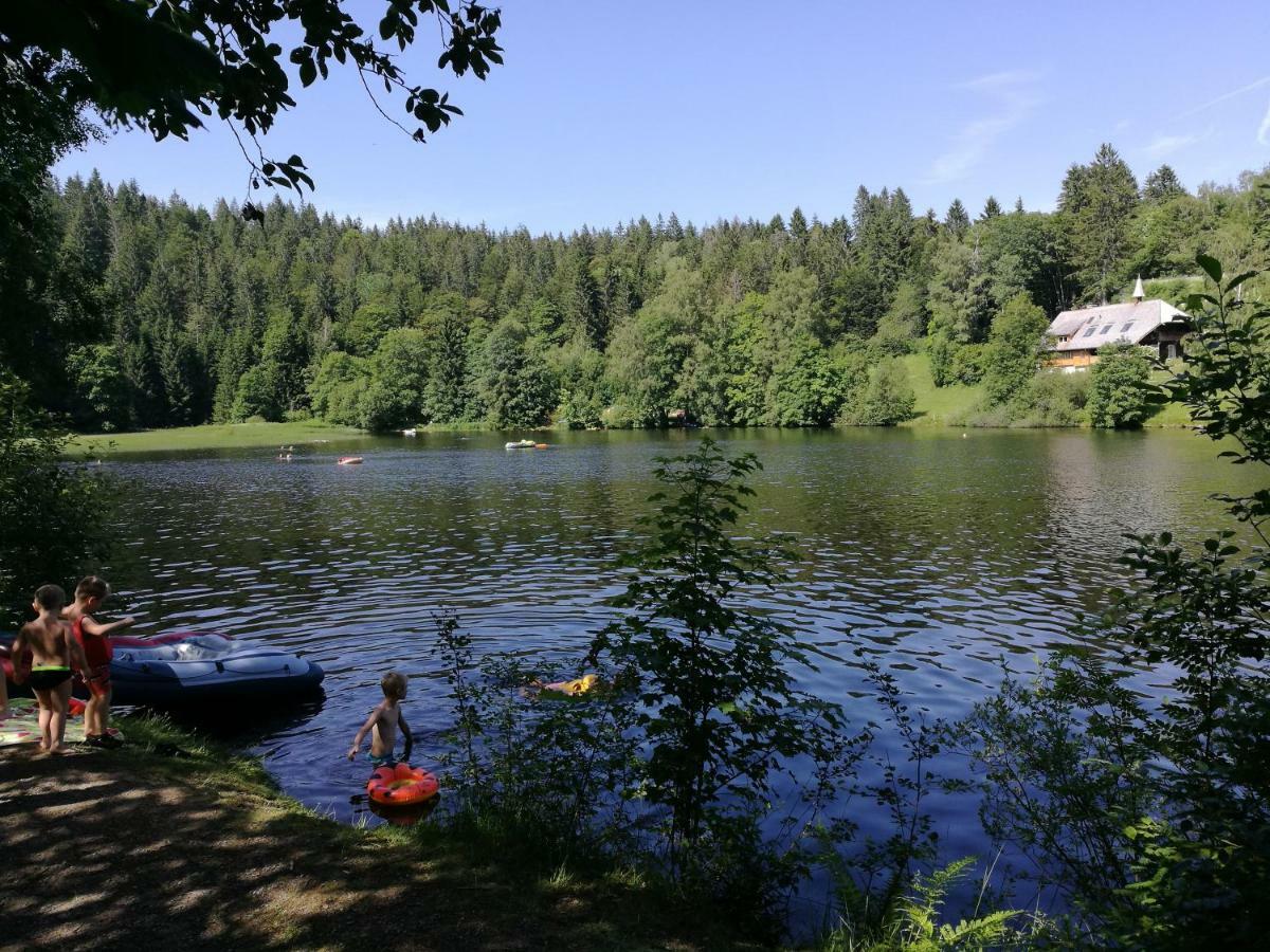 C1 Albmatte-Fewo Sauna, Hallenbad Aussenbecken Massagen Nebenan Menzenschwand-Hinterdorf エクステリア 写真