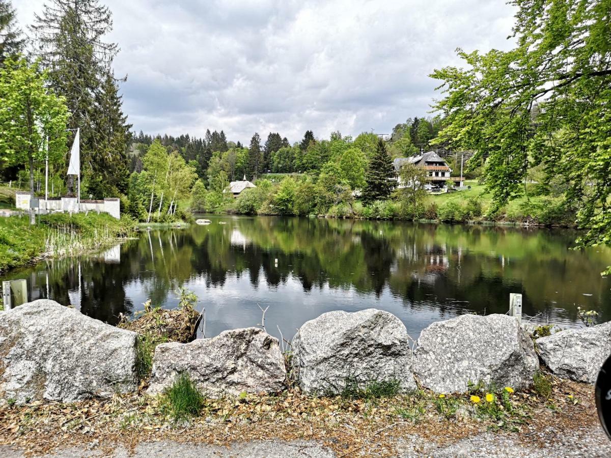 C1 Albmatte-Fewo Sauna, Hallenbad Aussenbecken Massagen Nebenan Menzenschwand-Hinterdorf エクステリア 写真
