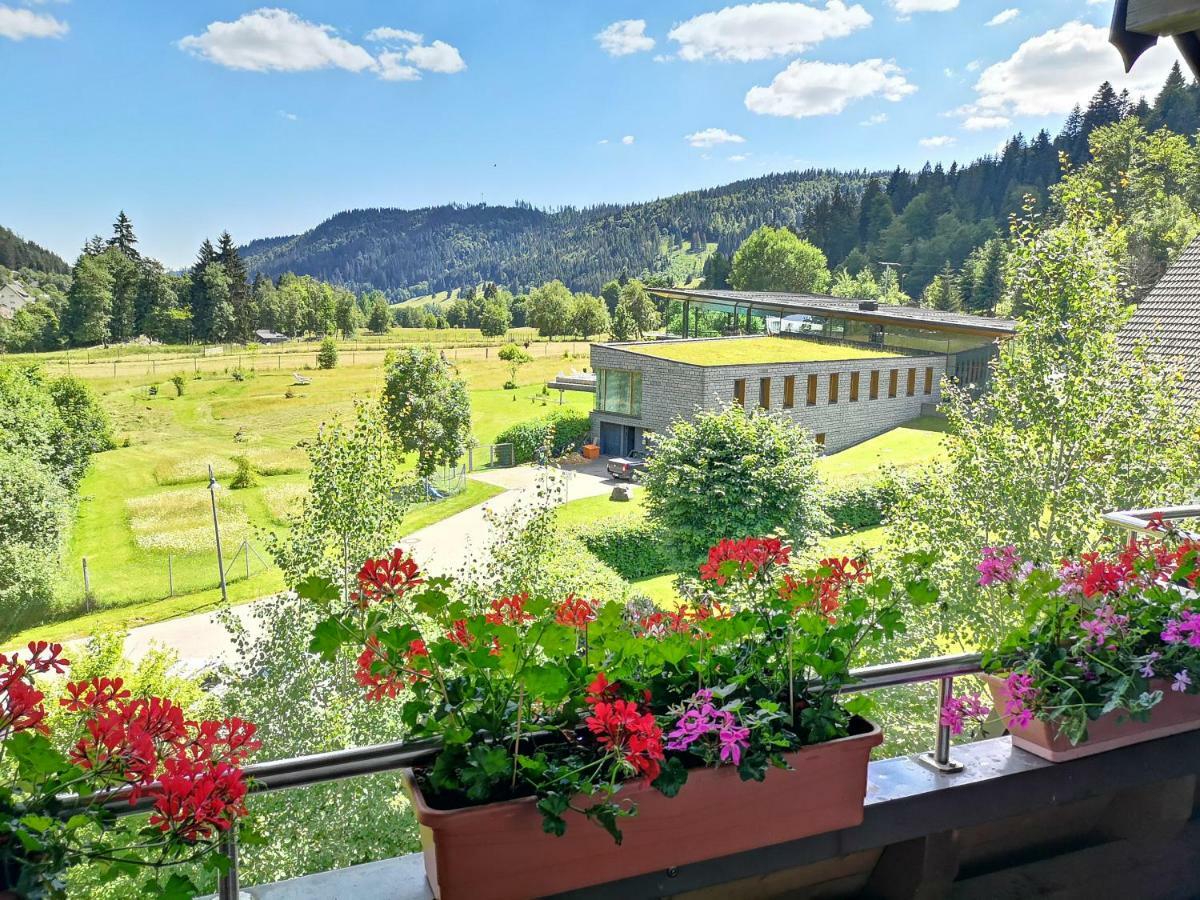 C1 Albmatte-Fewo Sauna, Hallenbad Aussenbecken Massagen Nebenan Menzenschwand-Hinterdorf エクステリア 写真